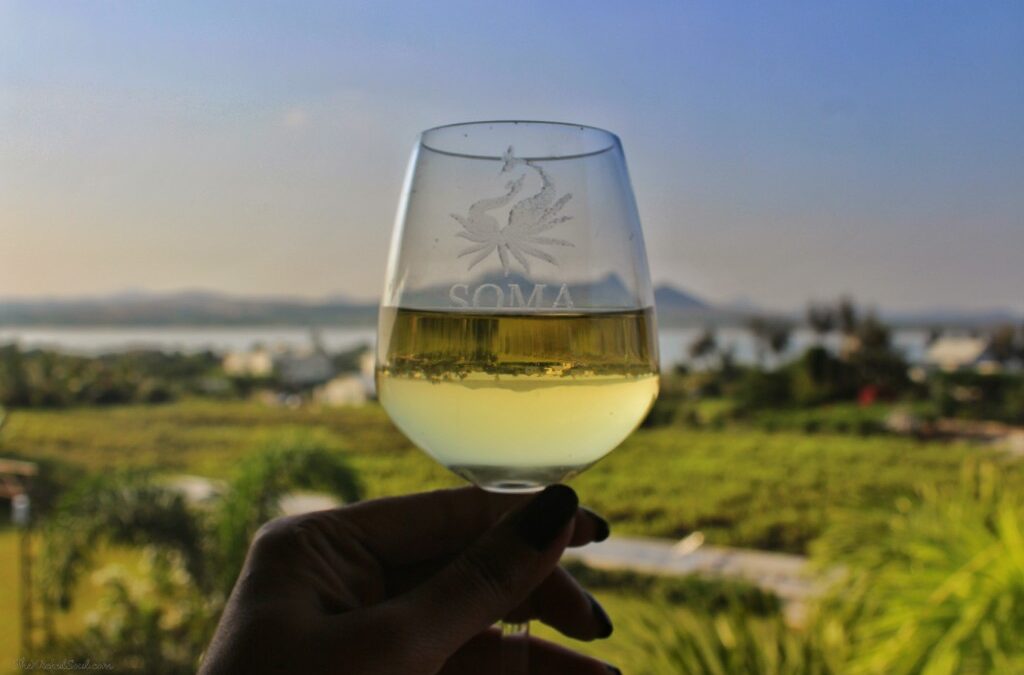 Journey of Nashik’s Wine Industry