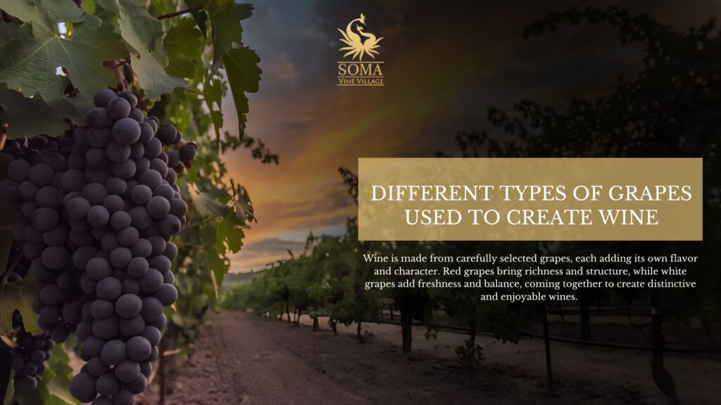 Soma Vine Village Experience
